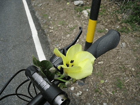 鯉魚潭、七星潭兩潭自行車道踏查記錄10-花蓮漁港到四八高地