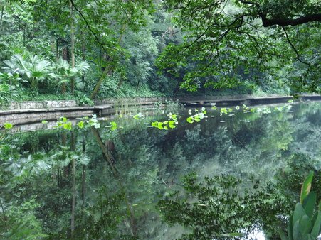 越秀公園真的很美