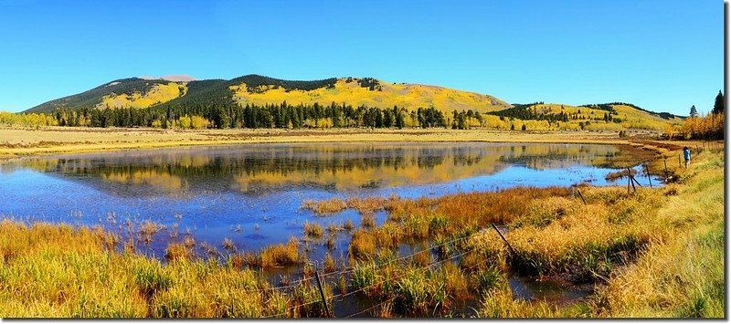 Fall colors, Kenosha Pass  (52)