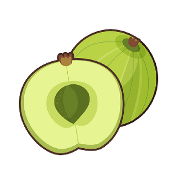 0214返老還童的余甘子.png
