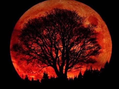 blood-moon