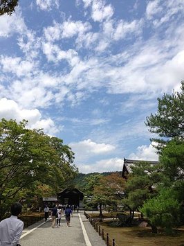 IMG_2683