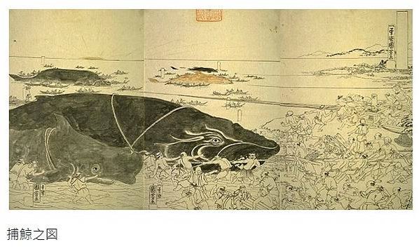 台灣的捕鯨歷史1920-1942-當時的台灣總督府或許是具永