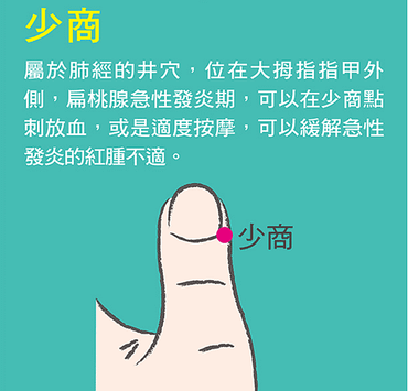 註解 2023-07-19 025233.png