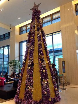 IMG_4248