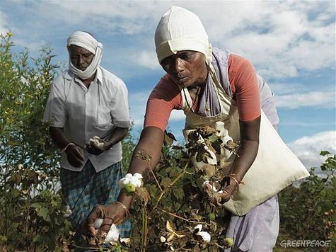 cotton-organic-farmers.jpg