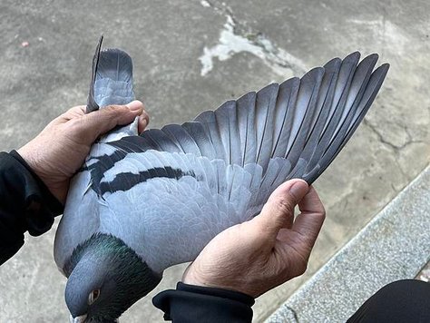 懷疑人生