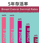 乳癌5年存活率.png