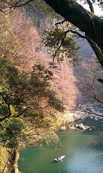 IMAG0589