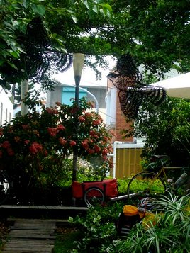 P1150338.JPG