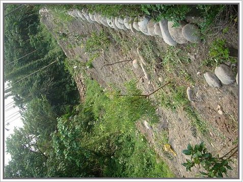 國姓山居102.09.08-2