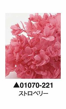 大地農園01070-221_繡球花哪裡買_繡球花介紹_永生花專賣_永生花推薦_愛意花坊-2022.jpg