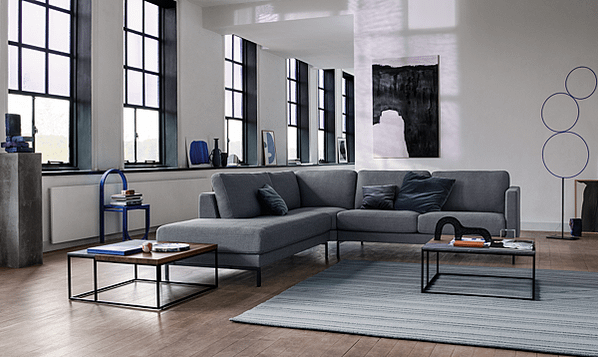 Rolf benz EGO sofa_9