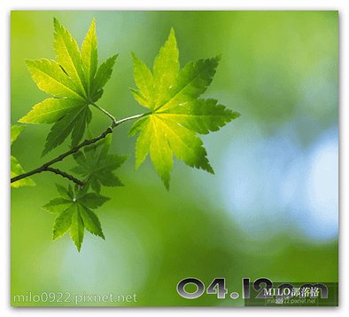 green_foliage_milo0922.pixnet.net__009_