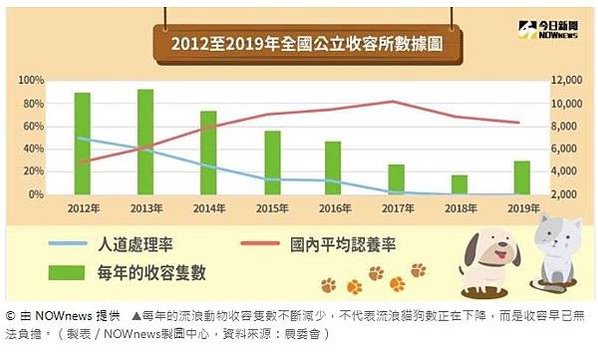 虐待動物+台北市動物保護處「十二夜」上映後，犬貓認養率數高達