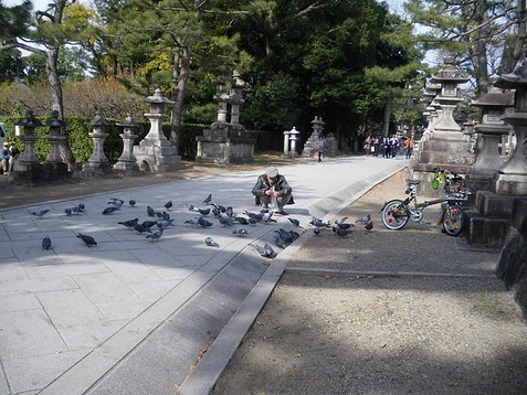 IMGP0763.JPG