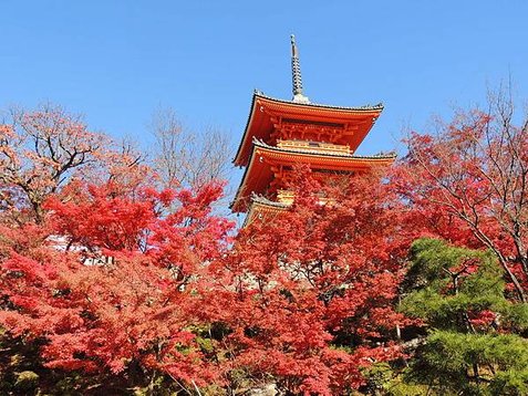 2015-12-07  京都清水寺   058.JPG