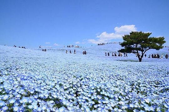 海濱公園.jpg