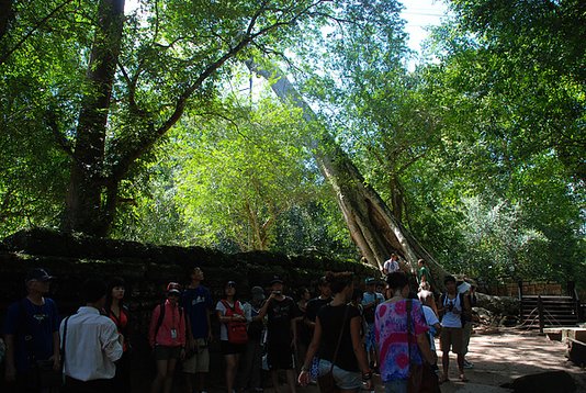 DSC_6841.jpg