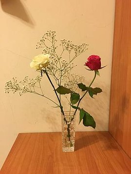20180528--玫瑰, 滿天星_1.JPG