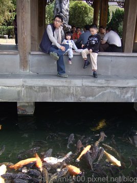 至善園餵魚1.jpg