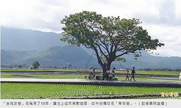 張城堯轉戰池上鄉長成功，在池上鄉公所服務二十餘年的張堯城曾獲