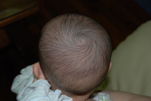 DSC_0111.JPG