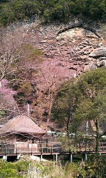 IMAG0575