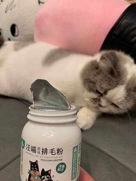 2025年最完整的「化毛膏/排毛粉/化毛粉」實測心得 - p