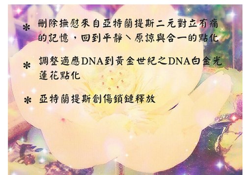 DNA白金光蓮花點化.jpg