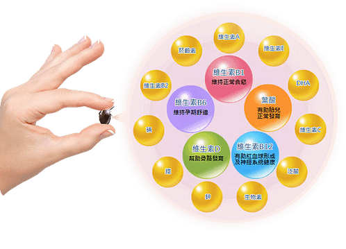 section_4_circle-20181206.png