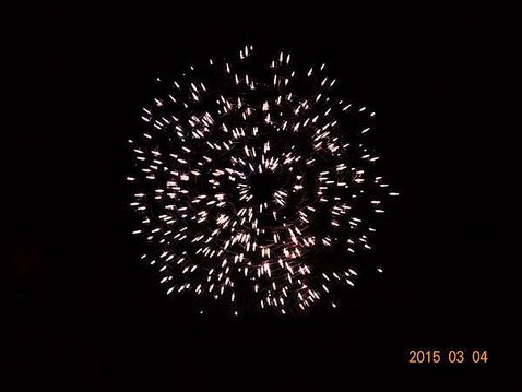 A2015蜂炮 (9).JPG