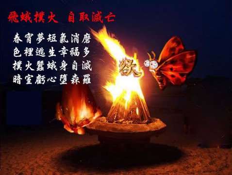 1062441244_x.jpg