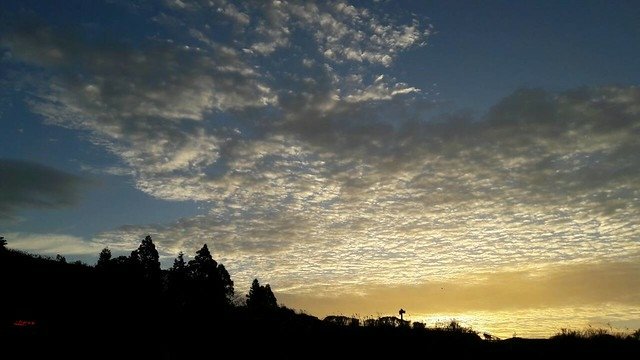 冷水坑6