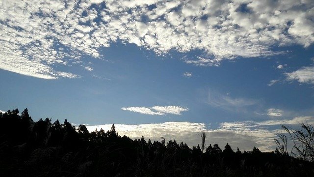 冷水坑2