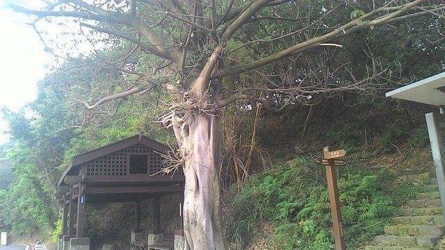 花博與媽祖窟廢墟 085