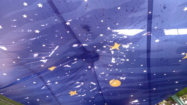 希望林星空