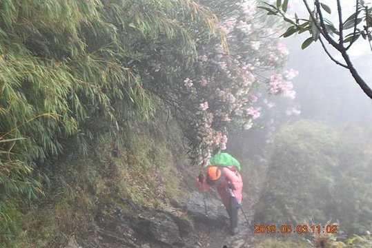 2019-05-03     排雲山莊   041.jpg