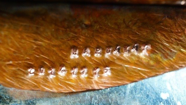 DSC02936