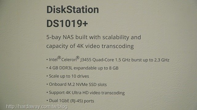 DS1019+