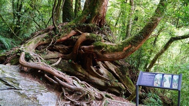 拉拉山自然保護區園區