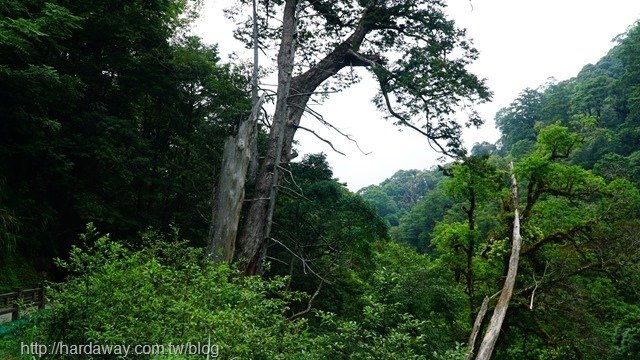 拉拉山自然保護區園區