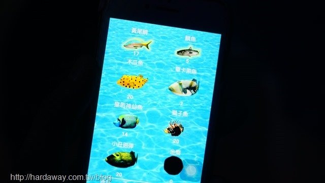 黑潮跳跳魚
