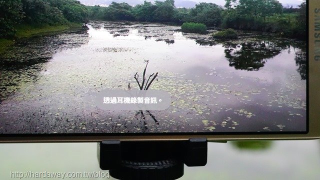 關渡自然公園錄音