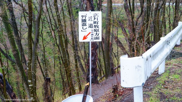 山梨山高神代櫻