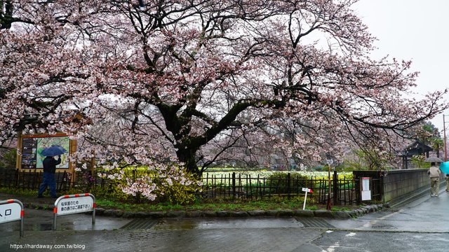 山梨縣北社市實相寺