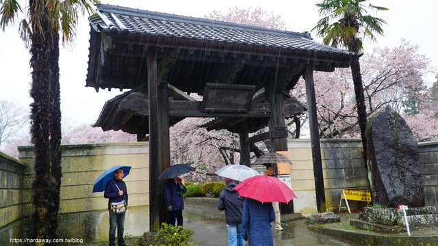 日本山梨縣賞櫻景點