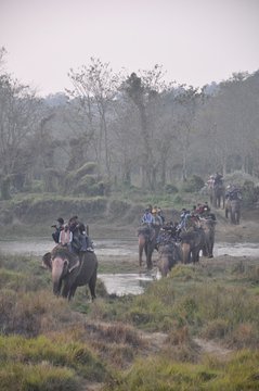 騎象渡河