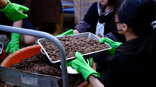 素材 (4)_0.jpg