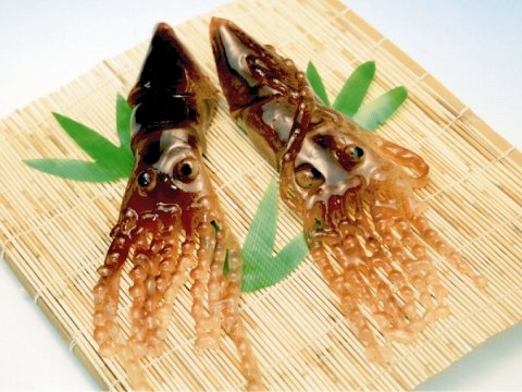 ikayokan_hokkaidou_p_1.jpg